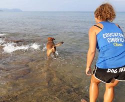 Impariamo a non temere il mare e a giocare nell'acqua