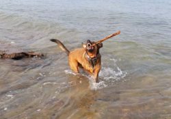 Le vacanze finiscono e …