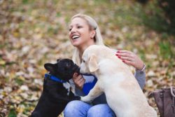 Interagire con il cane è la migliore esperienza