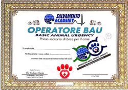 BAU – Attestato e brevetto valido 24 mesi
