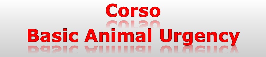Corso basic animal urgency