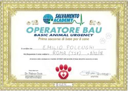 Brevetto di operatore Basic Animal Urgency