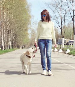A passeggio con l'amico cane