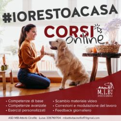 Restare a casa e fare lezioni con i cani è possibile