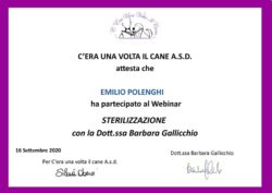 Barbara Gallicchio - Sterilizzazione