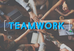 Lavoro di squadra tra software